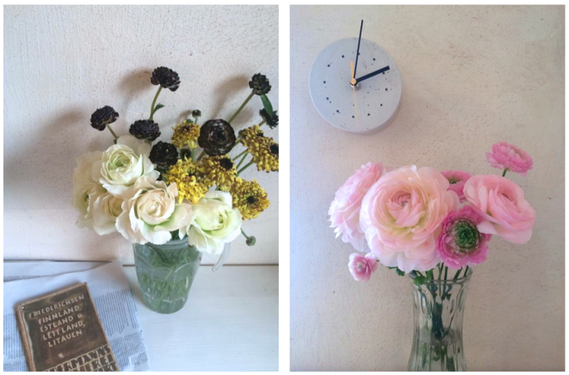 一般的な咲き方(写真黄色:左下)の他に、花びらの縁がギザギザしているフリンジ咲き(写真ピンク:右)や大輪咲き(写真ピンク:左)、ちょっと変わった咲き方のモロッコシリーズ(写真黄色:上、右)