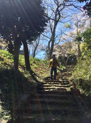 歩いて行けるところにある『衣笠山公園』を散策。周辺には野鳥もたくさんおり、わが家の庭にヒヨドリやメジロが遊びに来ることも。